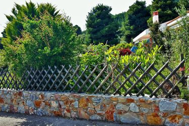 Hotel Alexios Studios Skopelos: Photo 