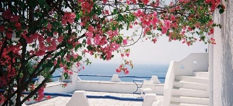 Hotel Secret Sporades Skopelos : Photo 