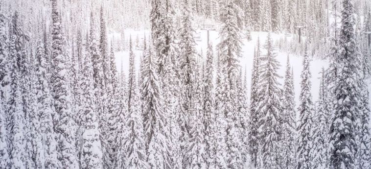 Hotel Upper Village Snowmass Village (Co): Foto 