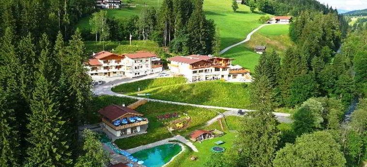 Hotel-Pension Berghof:  SOLL AM WILDEN KAISER
