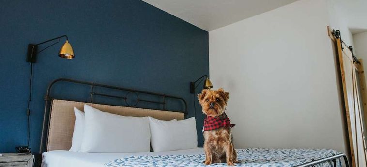 Hotel Sideways Inn Solvang (Ca) : Photo 