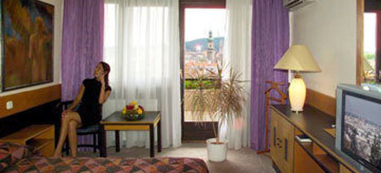 Hotel Sopron:  SOPRON
