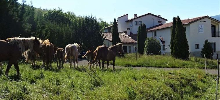 Hotel Remanso Del Rio Razon (Only Atlas) Soria : Photo 