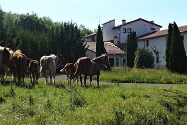 Hotel Remanso Del Rio Razon (Only Atlas) Soria: Photo 