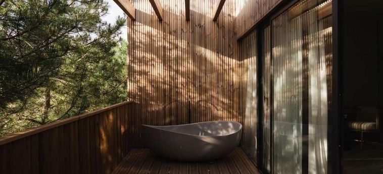 Noctis Hotel Soria: Foto 