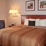 CANDLEWOOD SUITES SOUTH BEND AIRPORT 3 Stars