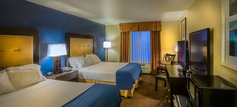 Hotel Holiday Inn Express & Suites South Haven:  SOUTH HAVEN (MI)