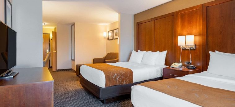 Hotel Comfort Suites South Haven Area:  SOUTH HAVEN (MI)