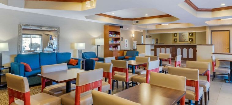 Hotel Comfort Suites South Haven Area:  SOUTH HAVEN (MI)