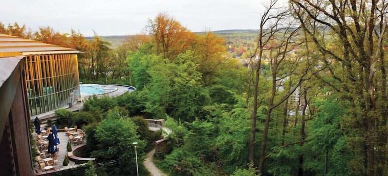 Radisson Blu Palace Hotel, Spa:  SPA