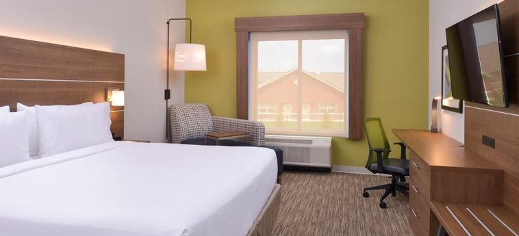 Hotel Holiday Inn Express Nashville South - Spring Hill:  SPRING HILL (TN)