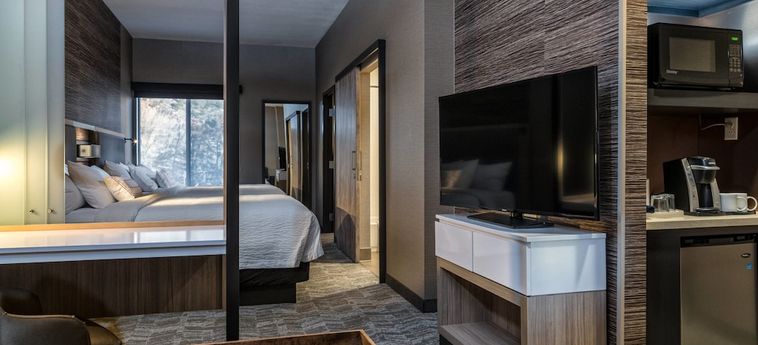 Hotel Springhill Suites By Marriott Springdale Zion National Park:  SPRINGDALE (UT)