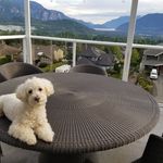 SQUAMISH HIGHLANDS BED AND BREAKFAST 3 Stars