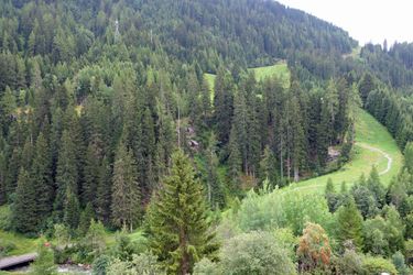 Hotel Alkira St Anton Am Arlberg: Photo 