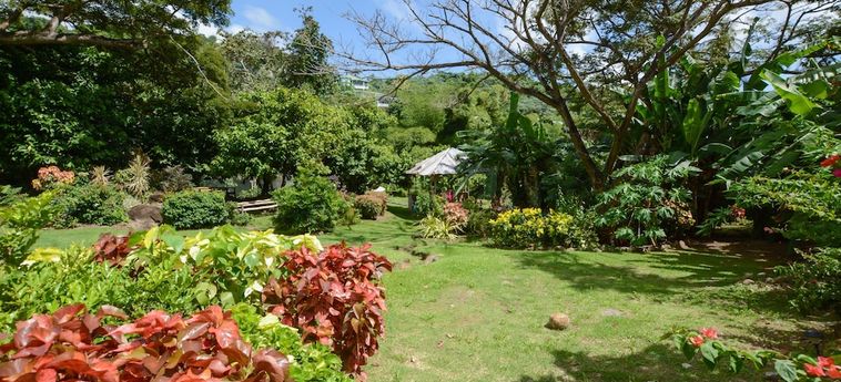 Clarenceville Villa Apartments St David: Photo 