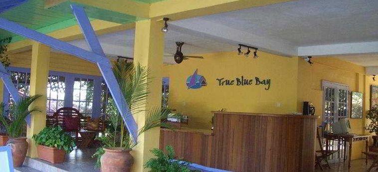 Hotel True Blue Bay Resort:  ST GEORGES