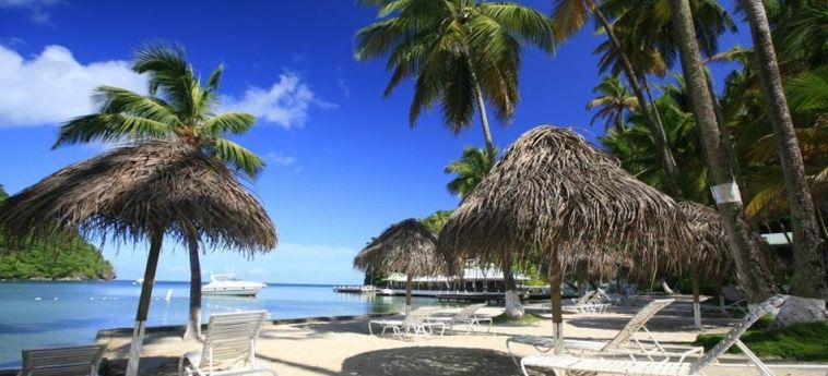 Hotel Marigot Beach Club & Dive Resort:  ST LUCIA