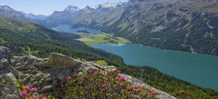 Hotel Crystal St Moritz : Photo 