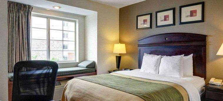 Hotel Comfort Inn & Suites Dulles:  STERLING (VA)