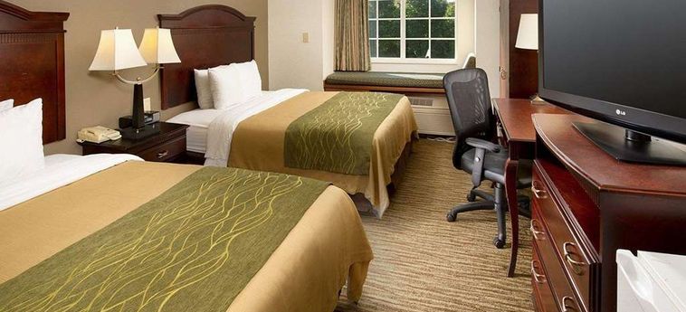 Hotel Comfort Inn & Suites Dulles:  STERLING (VA)