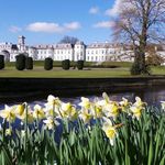 KILDARE HOTEL AND COUNTRY CLUB 5 Stars