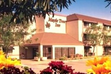 Hotel Maple Tree Inn:  SUNNYVALE (CA)