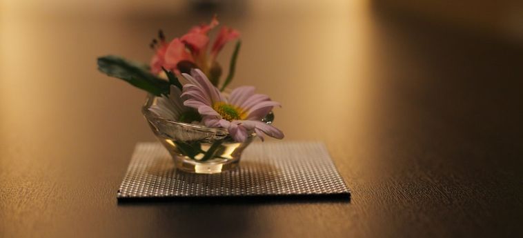 Hotel Kamisuwa Onsen Shinyu Suwa - Nagano Prefecture: Foto 