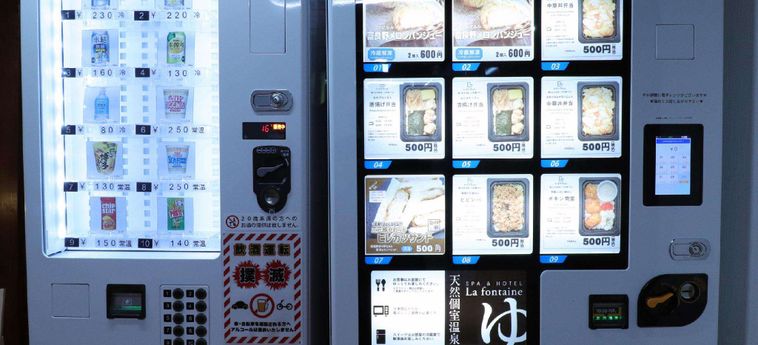 Hotel Lafonteine Suwa Suwa - Nagano Prefecture : Photo 