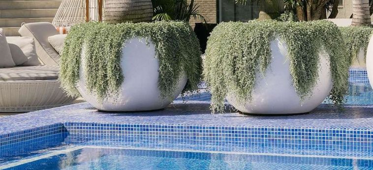 The Brighton Hotel Sydney - Mgallery Collection Sydney - New South Wales: Foto 