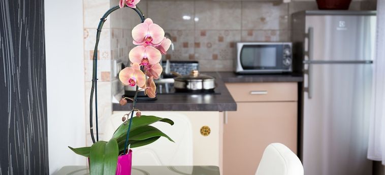 Best Apartments Szeged Szeged : Photo 