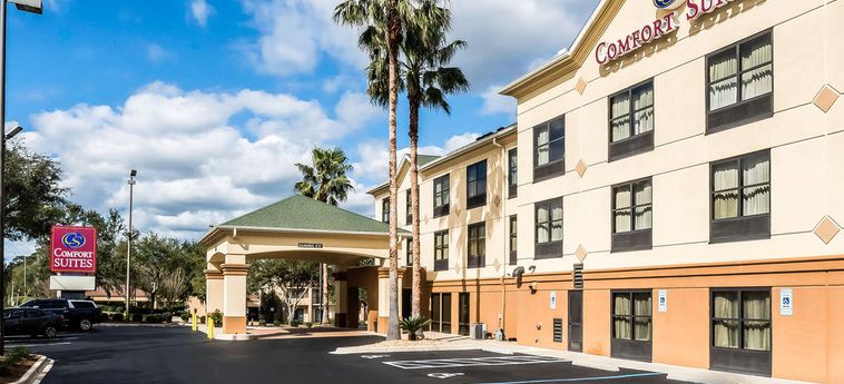 Hotel Comfort Suites:  TALLAHASSEE (FL)
