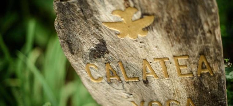 Cala Luna Boutique Hotel, Villas &Amp; Spa Tamarindo - Guanacaste: Foto 