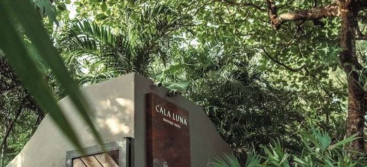 Cala Luna Boutique Hotel, Villas &Amp; Spa Tamarindo - Guanacaste: Foto 