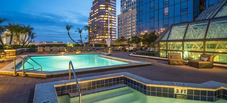 Hilton Tampa Downtown Hotel:  TAMPA (FL)