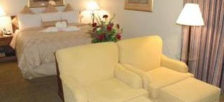 Hotel Chase Suite Tampa (Fl): Foto 