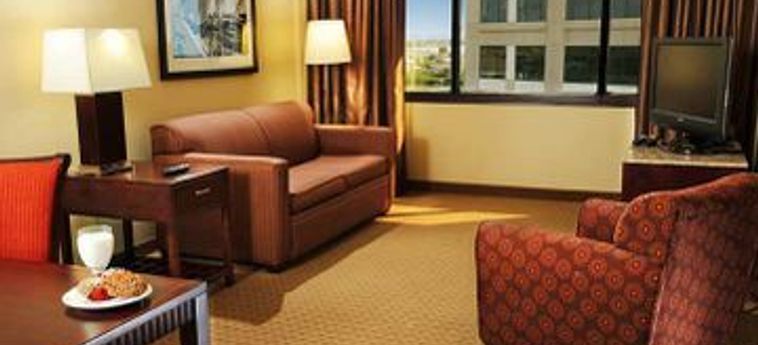 Hotel Doubletree By Hilton Tampa Rocky Point Waterfront:  TAMPA (FL)