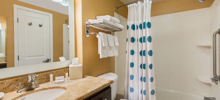 Hotel Towneplace Suites By Marriott Tampa Westshore/Airport Tampa (Fl): Foto 
