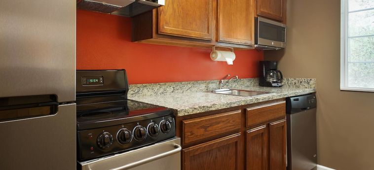 Hotel Towneplace Suites By Marriott Tampa North/I-75 Fletcher Tampa (Fl): Foto 
