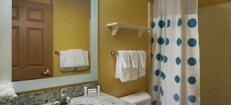 Hotel Towneplace Suites By Marriott Tampa North/I-75 Fletcher Tampa (Fl): Foto 