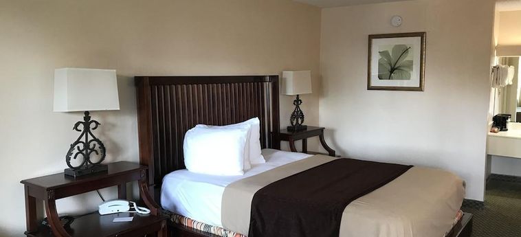 Hotel Vista Inn &Amp; Suites Tampa Tampa (Fl) : Photo 