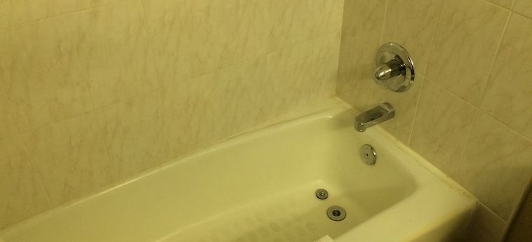 Hotel Value Lodge Busch Gardens Tampa Tampa (Fl): Foto 