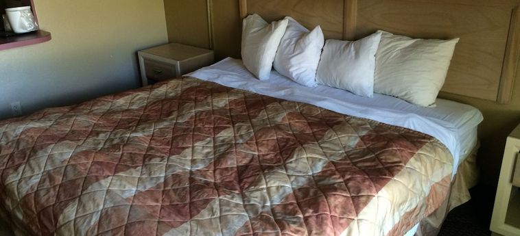 Hotel Value Lodge Busch Gardens Tampa Tampa (Fl) : Photo 