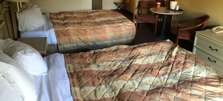 Hotel Value Lodge Busch Gardens Tampa Tampa (Fl) : Photo 