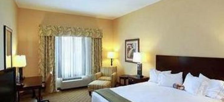 Hotel Holiday Inn Express & Suites Tampa - Usf - Busch Gardens:  TAMPA (FL)