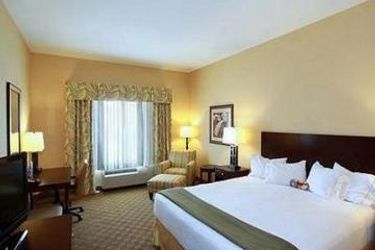 Hotel Holiday Inn Express & Suites Tampa - Usf - Busch Gardens:  TAMPA (FL)