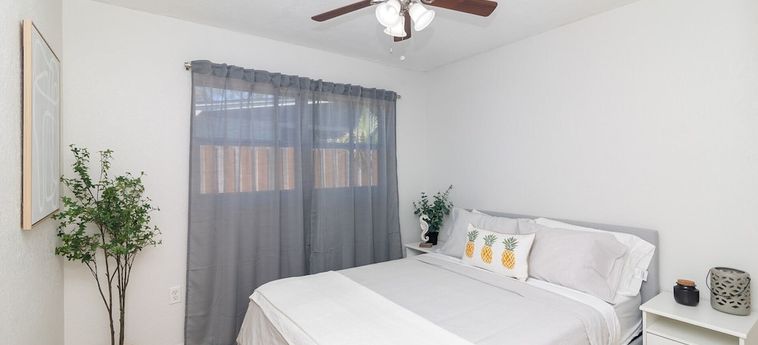 Hotel A Getaway On Walnut Tampa (Fl): Foto 