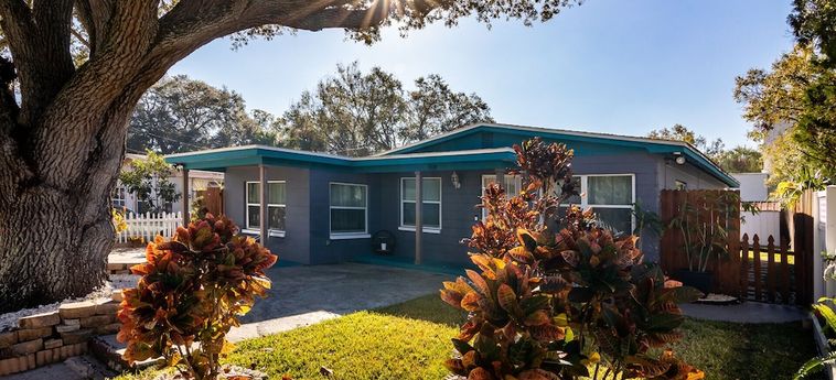 Hotel A Getaway On Walnut Tampa (Fl): Foto 