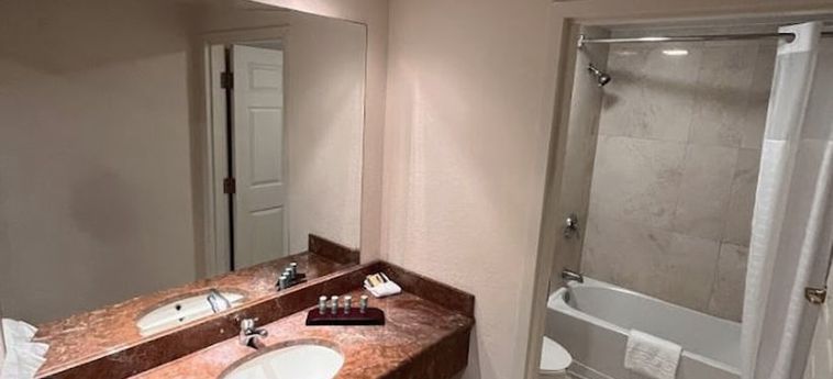 Hotel Bposhtels Tampa Tampa (Fl): Foto 