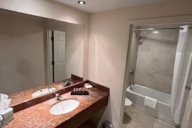 Hotel Bposhtels Tampa Tampa (Fl): Photo 