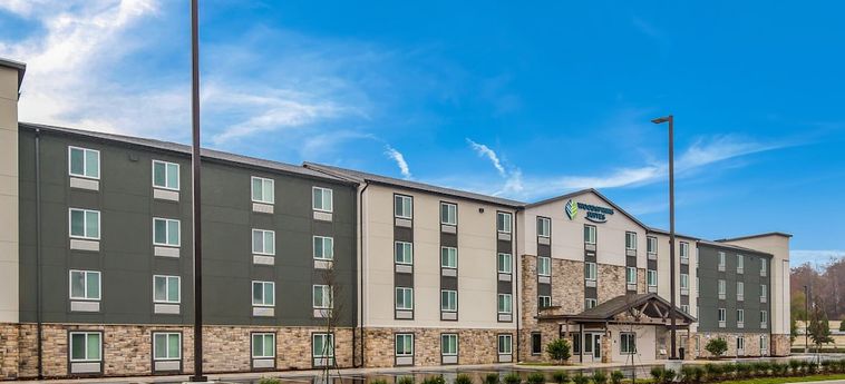 Hotel Woodspring Suites Tampa Airport North Veterans Expressway Tampa (Fl): Foto 